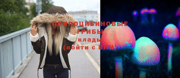 марки nbome Пересвет